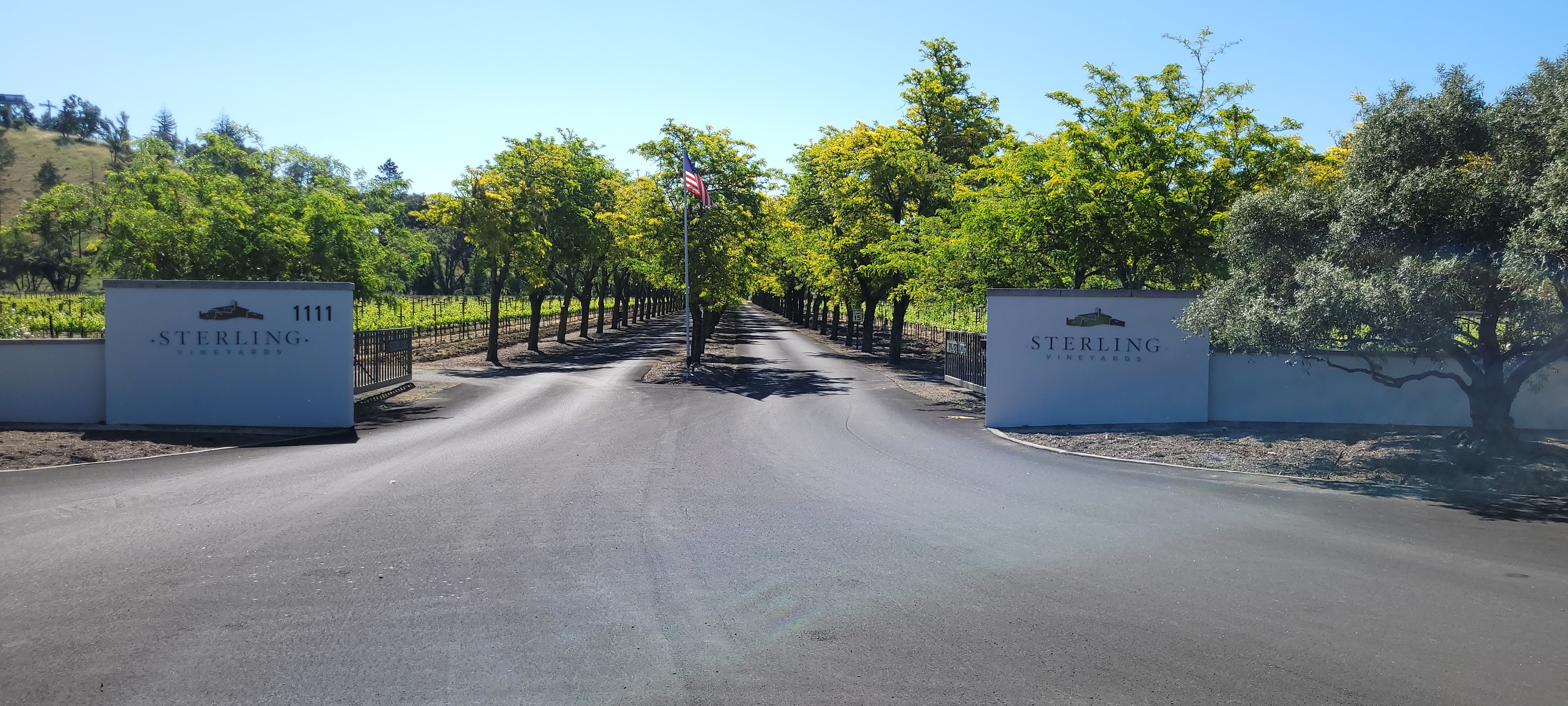 Sterling Vineyards — photo 11